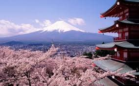 Salida Grupal 2025 - Luces de Japón y Corea